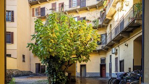 A courtyard with a tree, a bike rack, and a building with balconies. - Accomodo MIM21 Monolocale Porta Venezia (Milan)