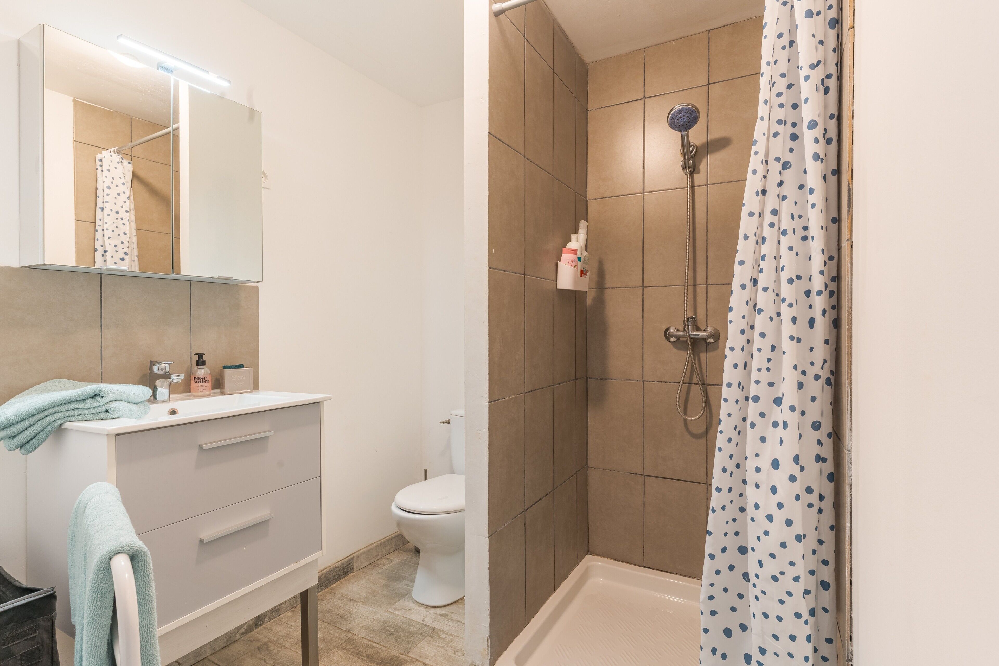 Shower, hair dryer, towels