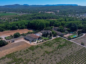 An aerial view of a vineyard with rows of grapevines, a large building with a sloped roof, and a swimming pool.
