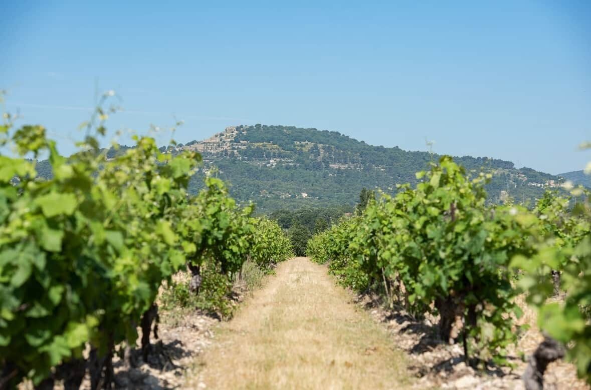 Imagen general