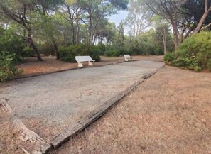Un sendero pavimentado con bancos, rodeado de árboles y arbustos.