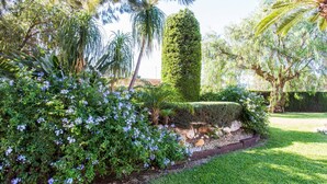 A well-maintained garden with a variety of plants and a neatly trimmed hedge. - Private Pool, Garden, Barbecue and Beach Nearby (Denia)