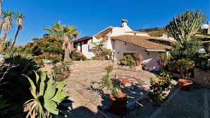 Una casa con techo de tejas, rodeada de diversas plantas y un camino de piedra.