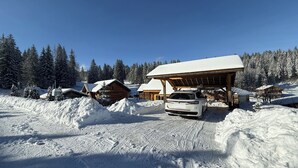 Een besneeuwde hut met een auto ervoor, omringd door bomen en een heldere lucht.