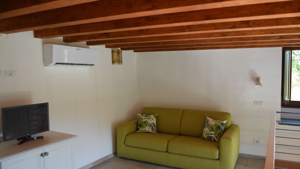 A room with a green sofa, a TV on a white cabinet, wooden beams on the ceiling, and an air conditioner on the wall. - Old Farmhouse "Green Apt",trekking lovers vacation homes with splendid views (Ravello)