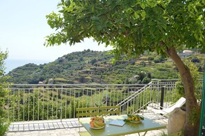 Outdoor dining - Old Farmhouse "Green Apt",trekking lovers vacation homes with splendid views (Ravello)
