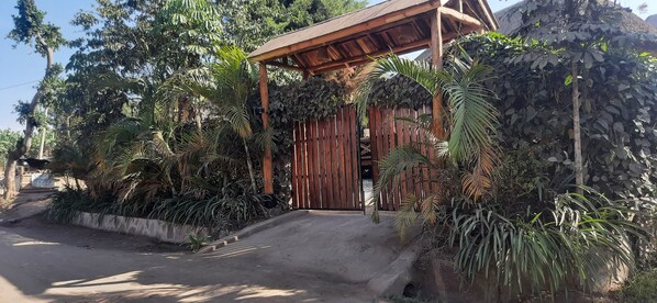 Une porte en bois avec un portail en métal, entourée d’une végétation luxuriante et bordée d’un chemin en béton menant à une zone abritée.