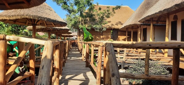 Property grounds - A haven for those seeking a blend of natural beauty and modern comfort. (Fort Portal)