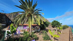 A rustic house with a stone facade, a palm tree in the foreground, and a view of the ocean. - Los Cerrajones: spectacular views from the cliff (Agulo)