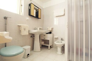 Shower, bidet, soap, toilet paper