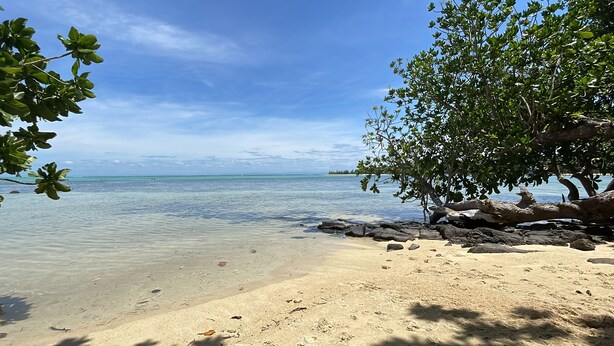 A beach with clear water, sandy shore, and a tree providing shade. - Comfortable Malagasy bungalow on private beach (Analanjirofo)