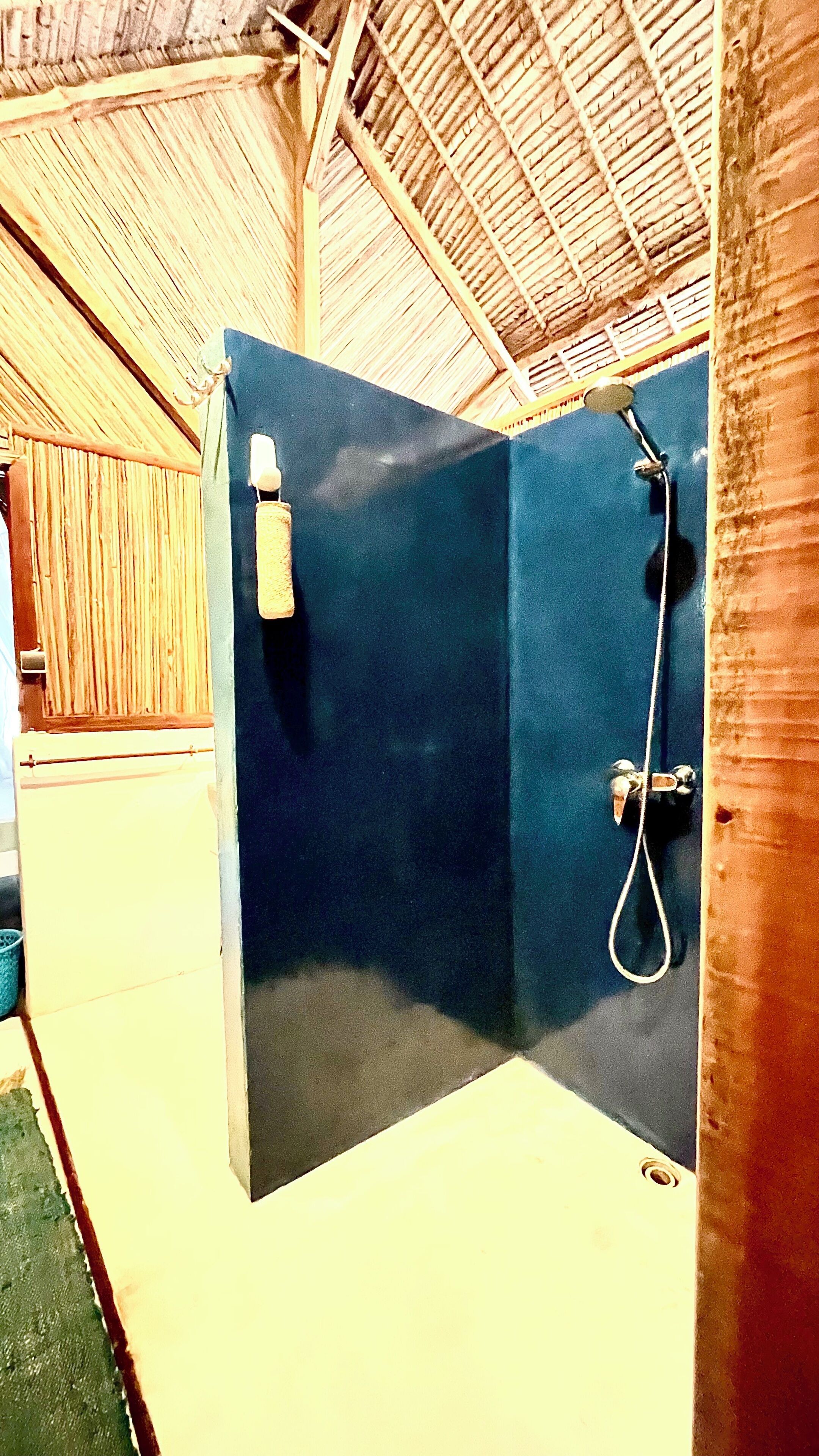 A shower area with a blue partition, a handheld showerhead, and a handheld soap dispenser.