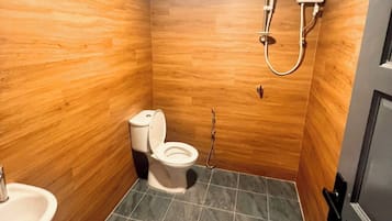 Shower, hair dryer, bidet, towels