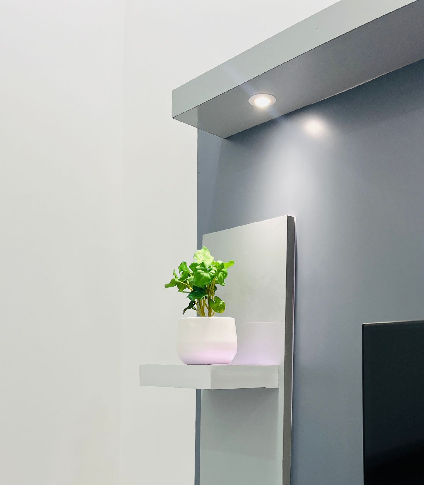 A minimalist interior with a white shelf holding a potted plant.
