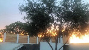 A modern building with a staircase leading to a covered area, surrounded by greenery and trees. - Peace and comfort (Cessenon-sur-Orb)