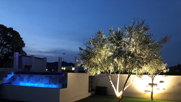 A modern outdoor area with a swimming pool, a tree illuminated by lights, and a well-maintained lawn. - Peace and comfort (Cessenon-sur-Orb)