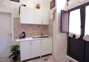 Kitchen area with sink, cabinetry, and a potted plant.