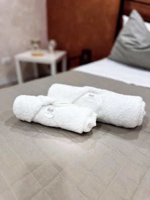 SĂšche-cheveux, serviettes fournies, savon, papier toilette