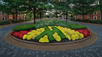 Jardines del alojamiento