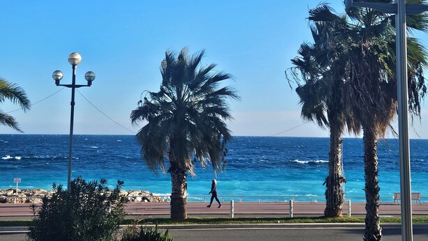 A coastal promenade with palm trees, a pedestrian path, and a view of the ocean. - Vue MER bleu sea beach Holidays tramway (Nice)