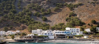 Artemisa House