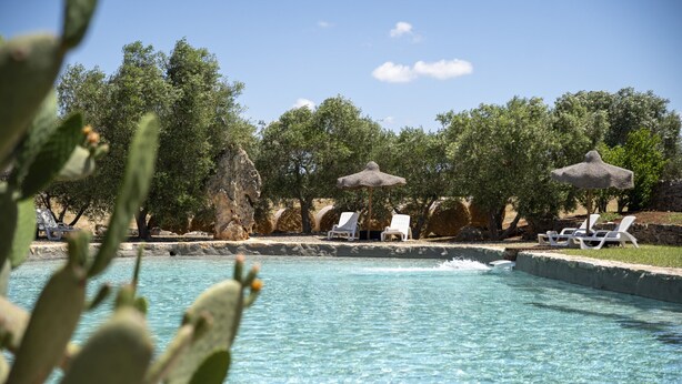 Ein Poolbereich mit klarem Wasser, umgeben von Bäumen und Felsen, mit Liegestühlen und Sonnenschirmen.