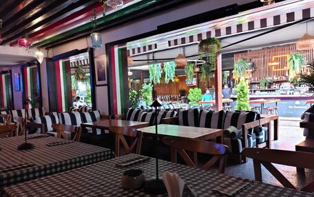 A restaurant with checkered tablecloths, striped cushioned seating, hanging plants, and a bar area in the background.