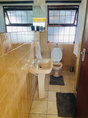 Douche, baignoire à jets, bidet, serviettes fournies