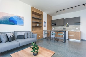 401 (B) - Mountain view 1 Bedroom | Living room | 43-inch Smart TV with cable channels, streaming services - Brummana Heights Apartments (Broumana)