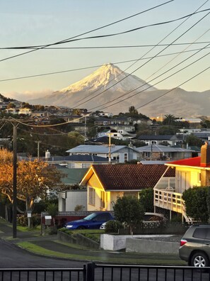 A residential area with houses, a road, and a mountain in the background.