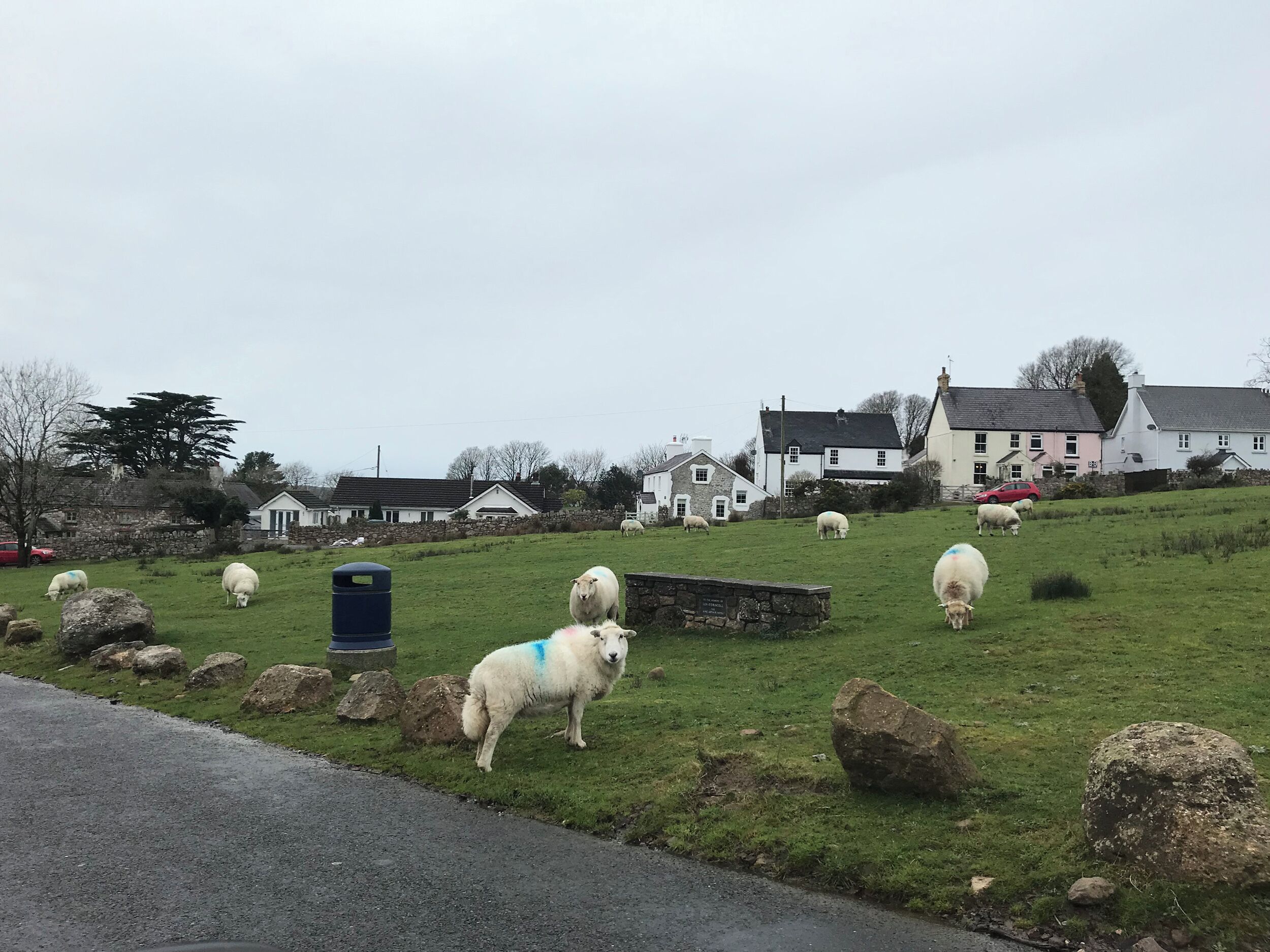 Feriehus | Overnatningsstedets område