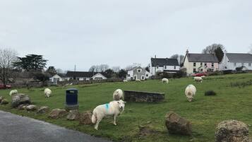 Feriehus | Overnatningsstedets område