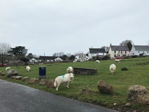 Cottage | Property grounds - Kites - 52 Gower Holiday Village (Swansea)