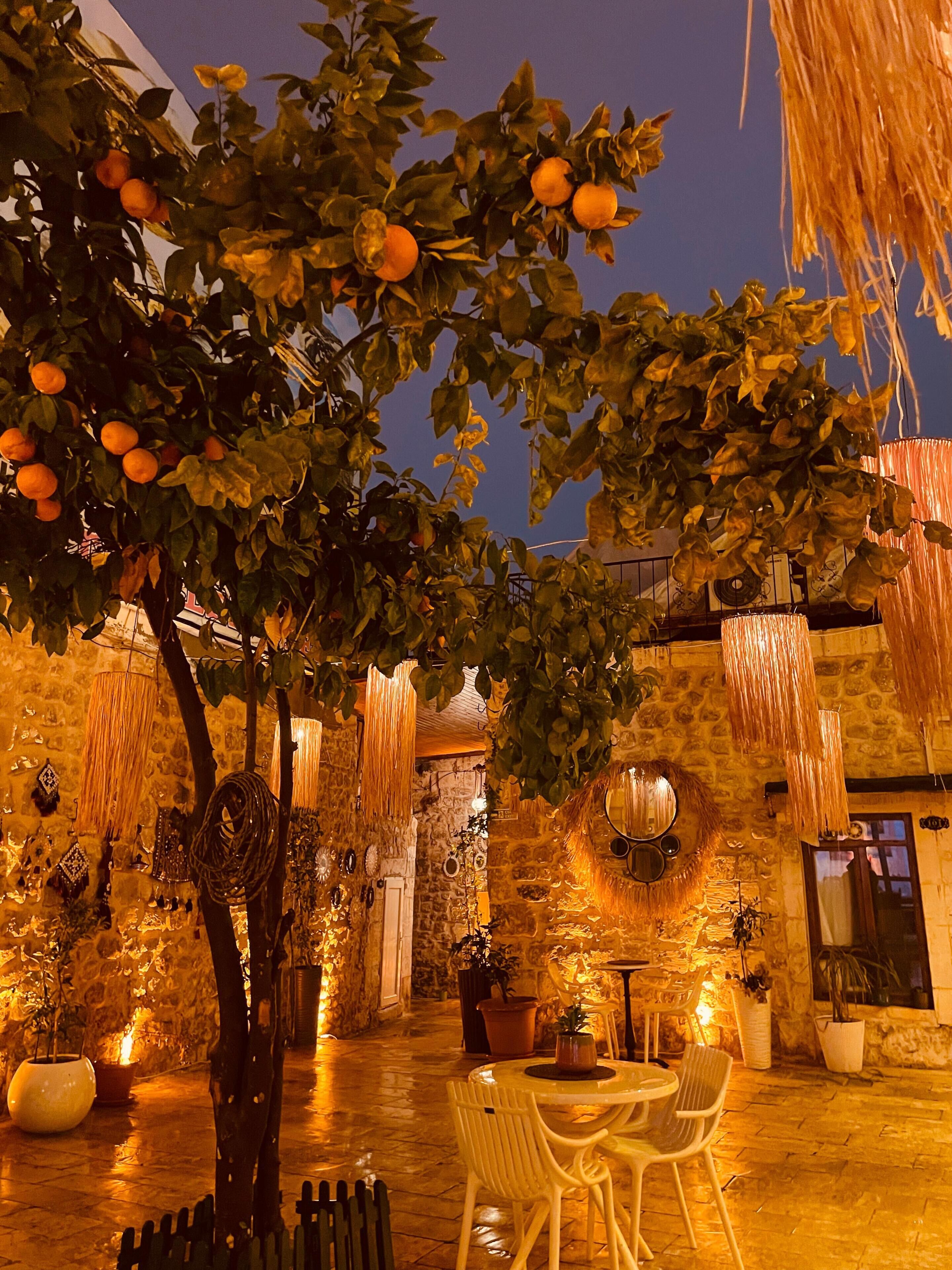 Fachada del alojamiento