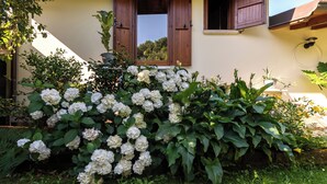 A house with a garden featuring white flowers and green foliage.