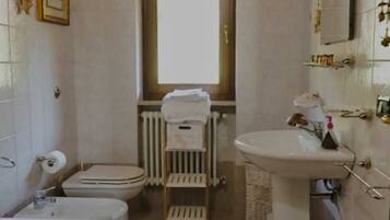 Dusche, Haartrockner, Bidet, HandtĂŒcher