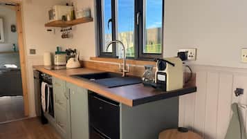 Cabin | Private kitchen | Fridge, microwave, oven, stovetop