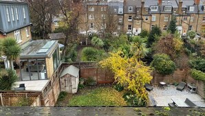 A residential area with terraced houses, a small garden with a yellow flowering tree, and a conservatory.