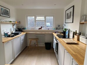 Oven, stovetop, dishwasher
