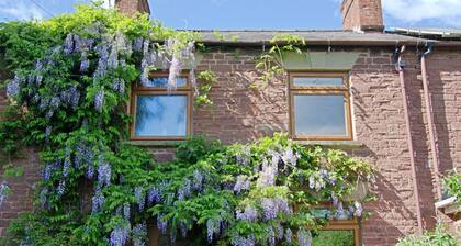 Cosy 18th century cottage. Pet friendly. Absolute tranquility!