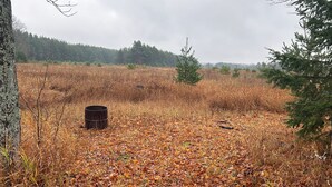 A natural landscape with a path covered in fallen leaves, a metal barrel, and a small tree.