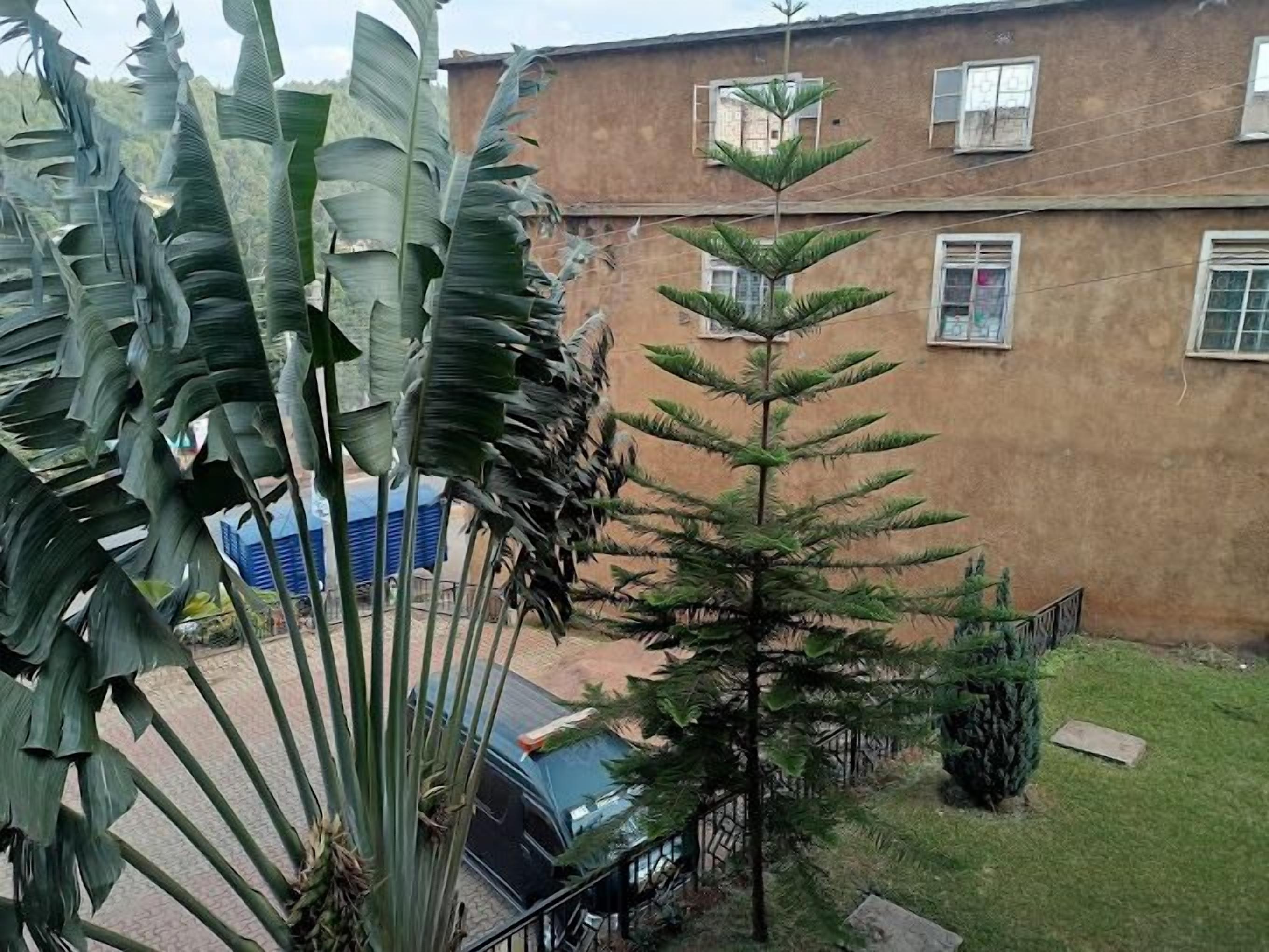 A courtyard with a building in the background, a small tree, and a car parked nearby.