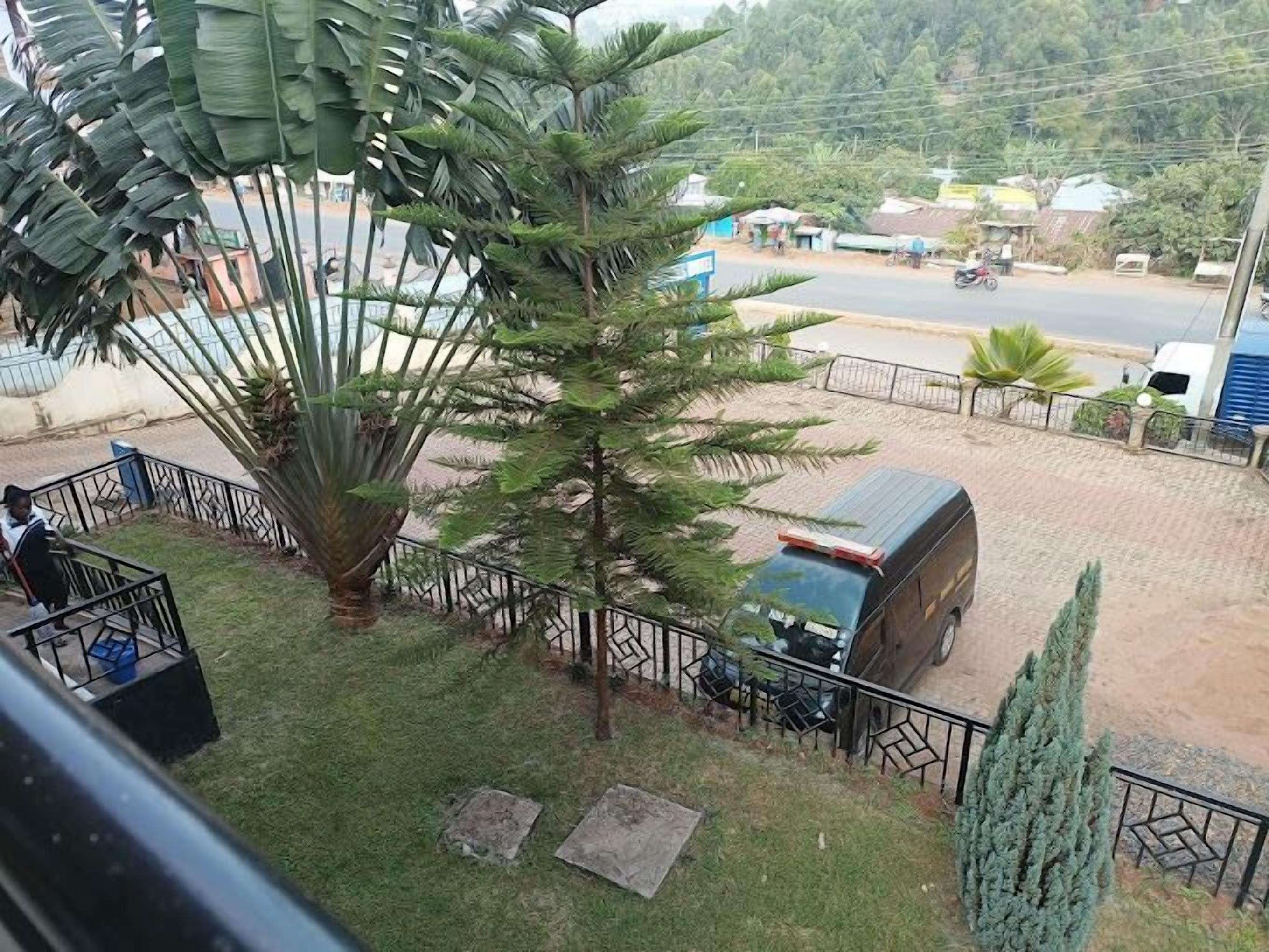A view of a courtyard with a palm tree, a parked vehicle, and a fence.