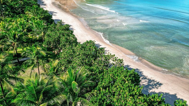 Une plage aux eaux turquoise et limpides, bordée d’un rivage sablonneux et d’une végétation luxuriante.