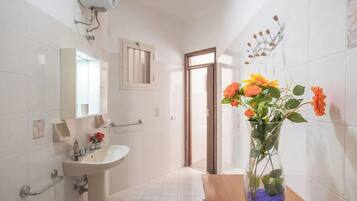 House | Bathroom | Shower, hair dryer