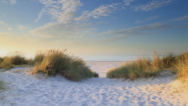 A beach with sand and grass in the foreground, leading to the water. - Harry, Luxury property in center of NES (NES AMELAND)