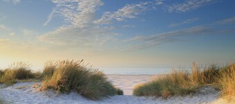 Harry, Luxury property in center of NES