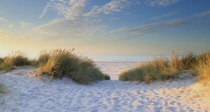 Harry, Luxury property in center of NES