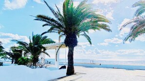 A paved walkway with palm trees and a pergola, leading to a beach.