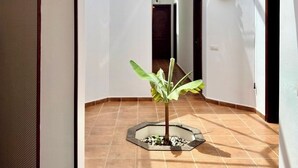 Un pasillo con tragaluces, una planta en maceta y un adorno de pared decorativo.